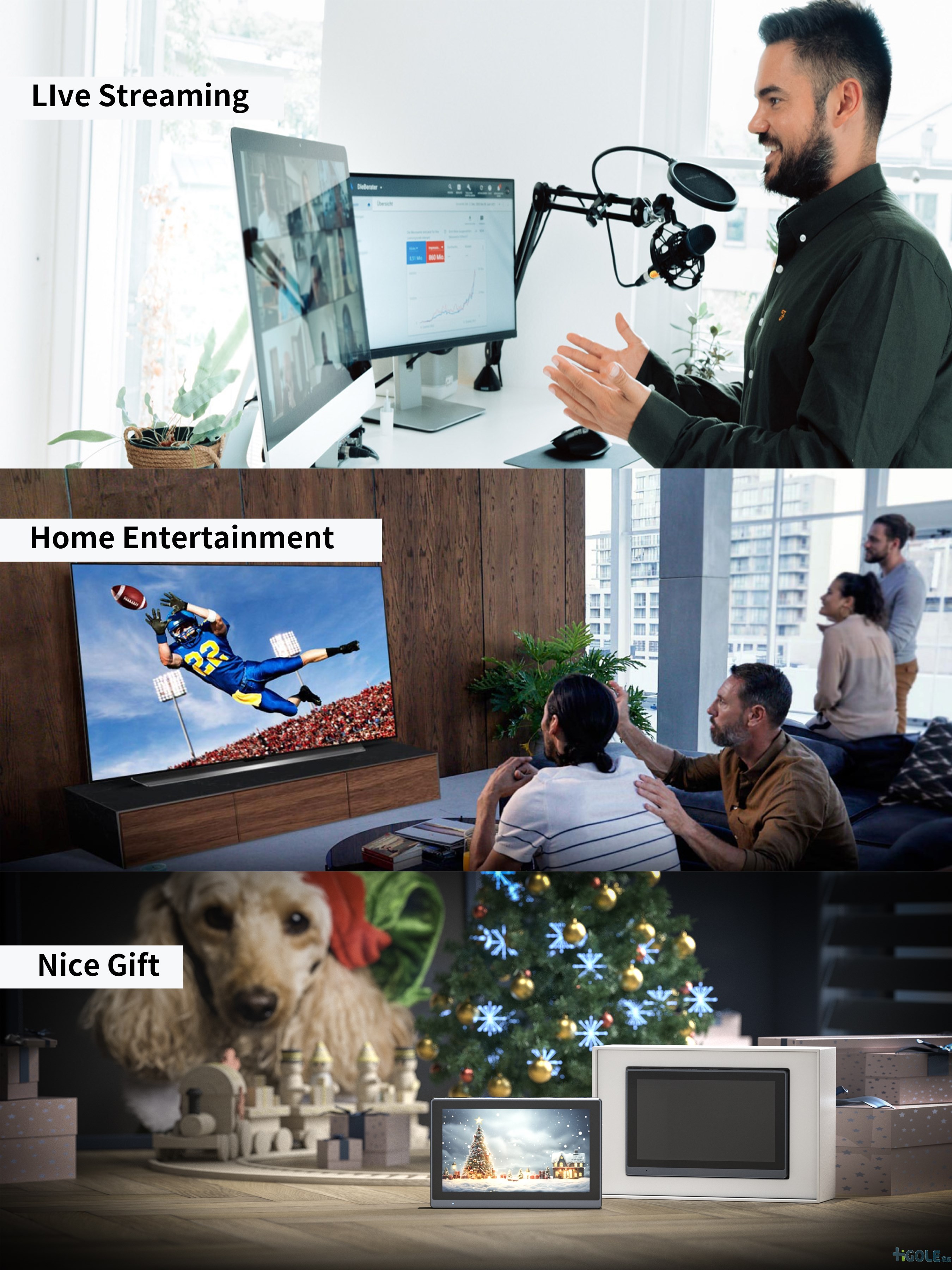 gole 2 pro minipc
